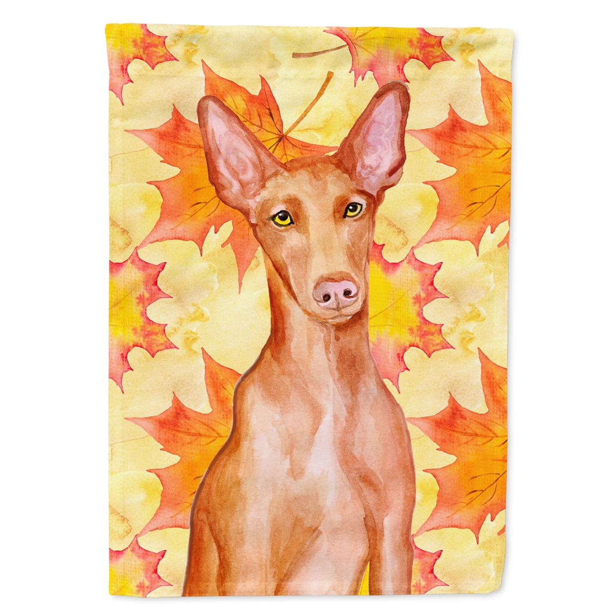BB9976GF Pharaoh Hound Fall Flag - Garden Size