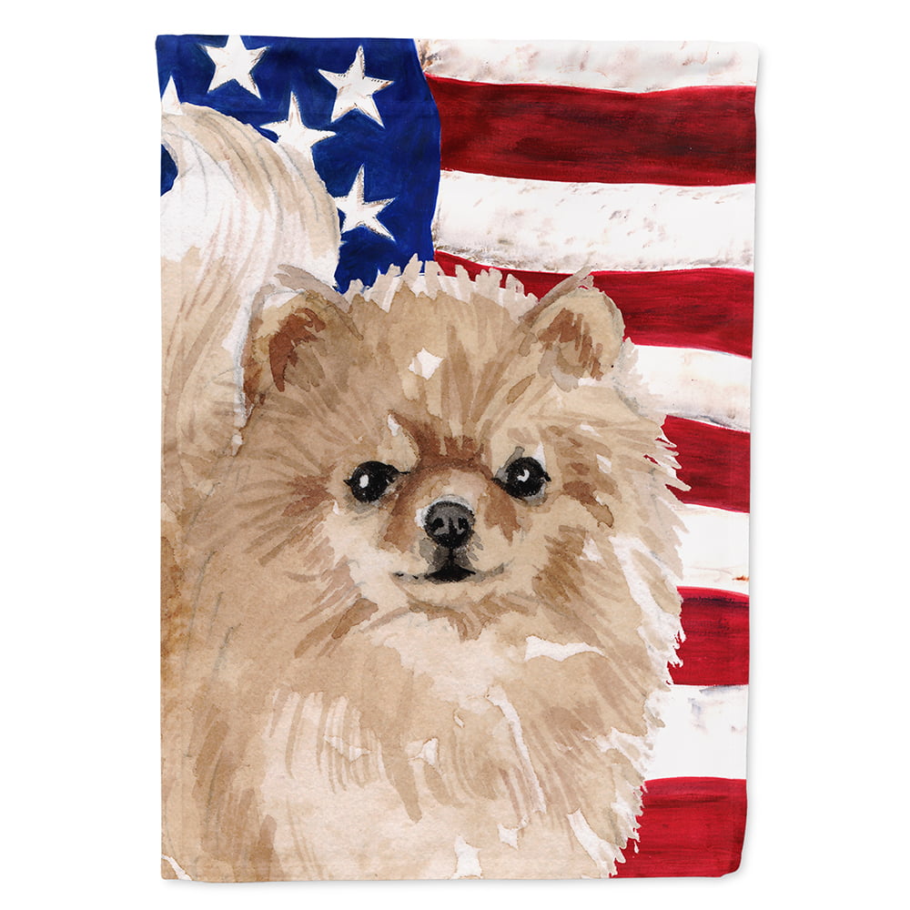 Pomeranian Patriotic Flag Canvas House