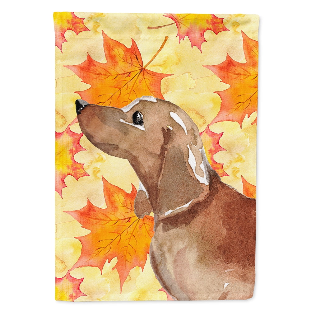 Red Tan Dachshund Fall Flag Canvas House