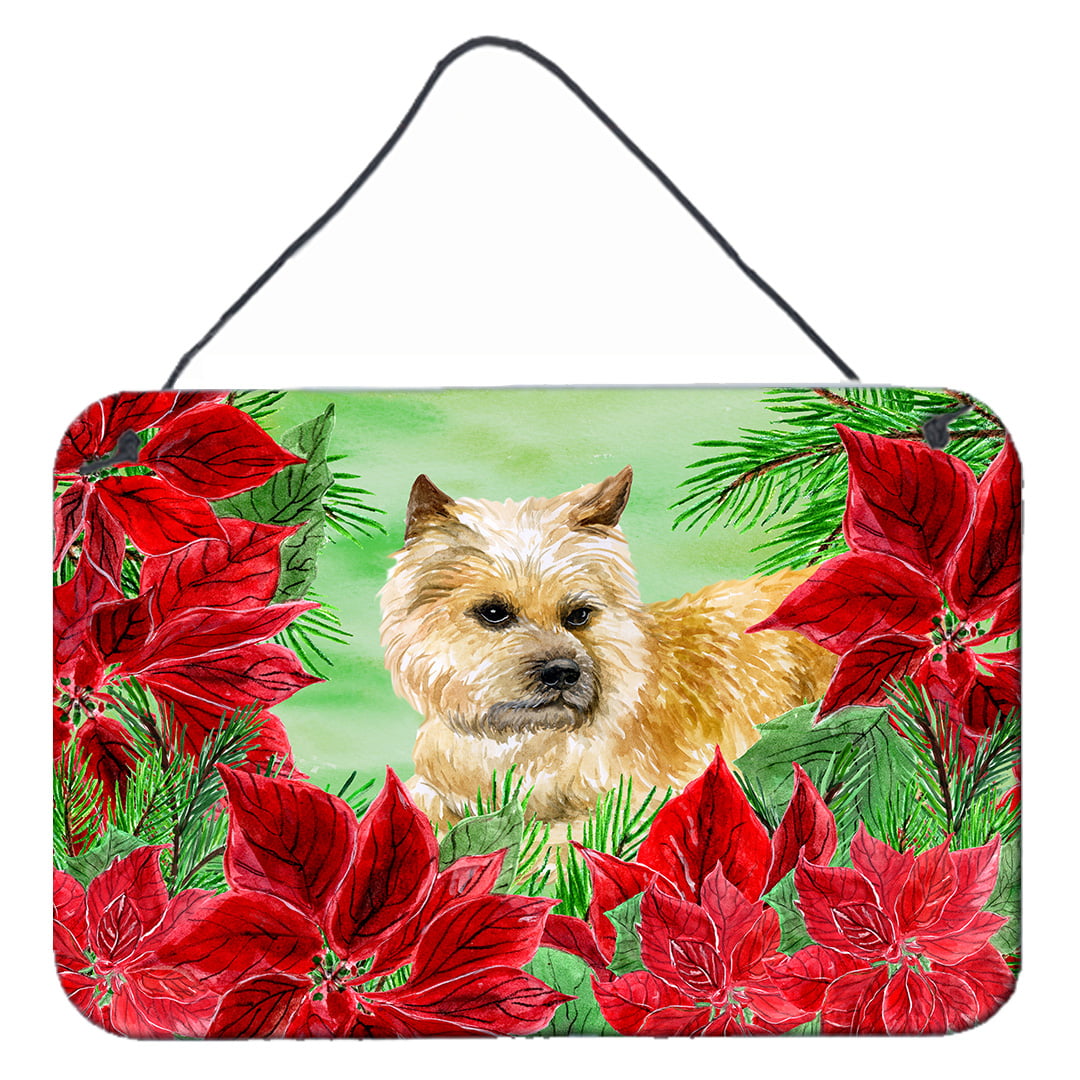 Cairn Terrier Poinsettas Wall or Door Hanging Prints