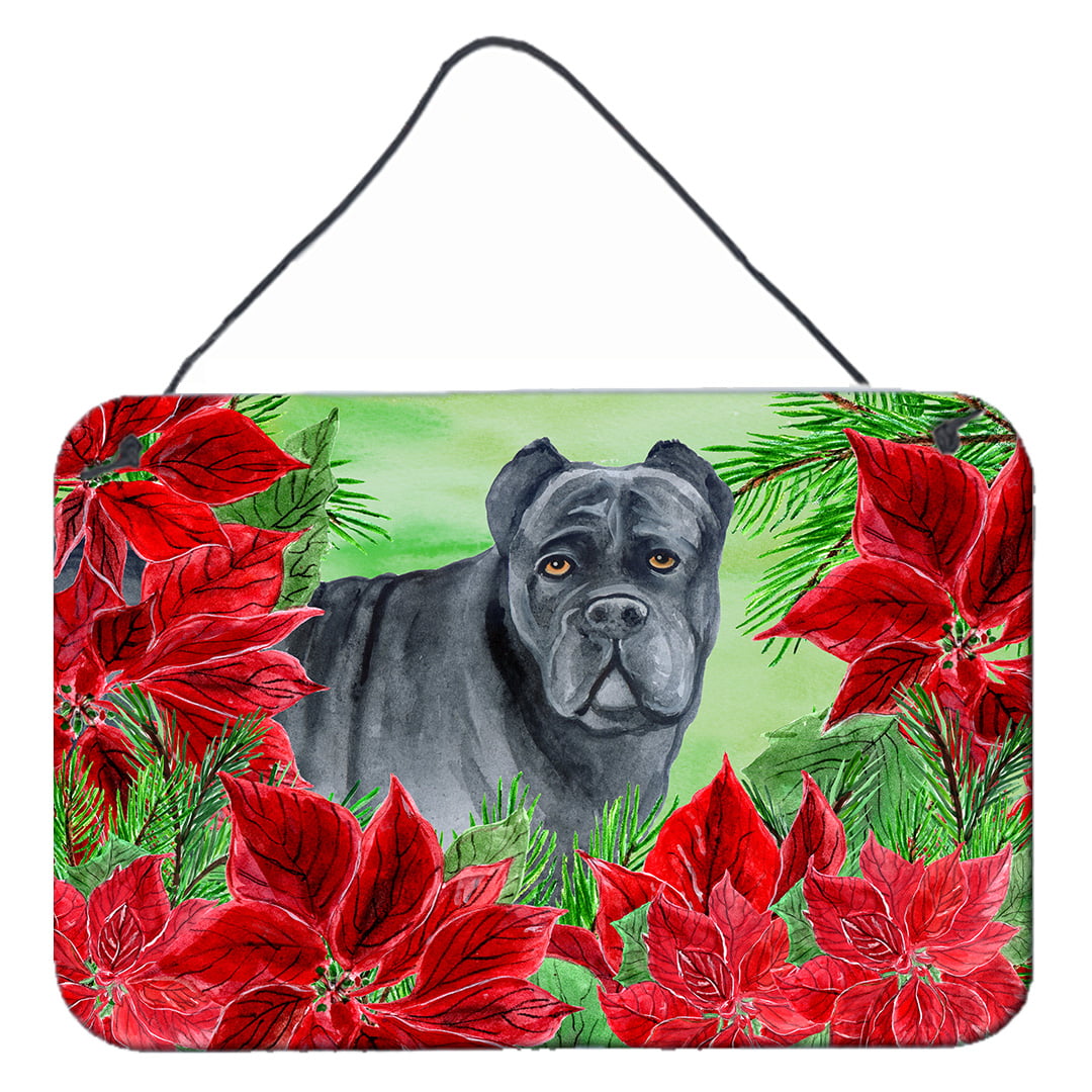 Cane Corso Poinsettas Wall or Door Hanging Prints