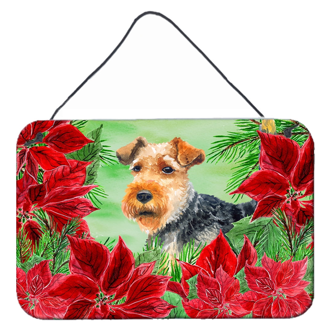 Welsh Terrier Poinsettas Wall or Door Hanging Prints