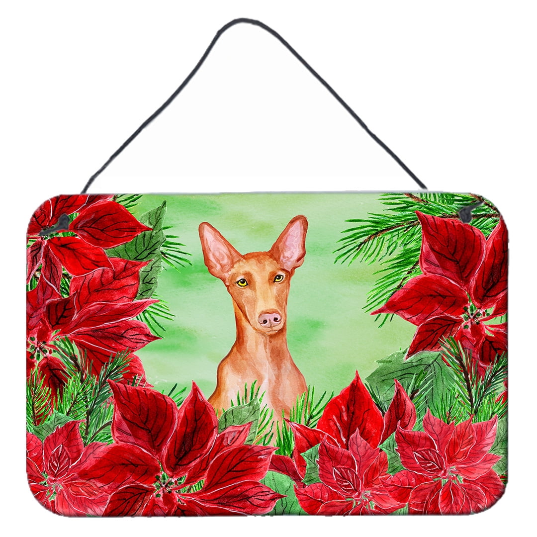 Pharaoh Hound Poinsettas Wall or Door Hanging Prints
