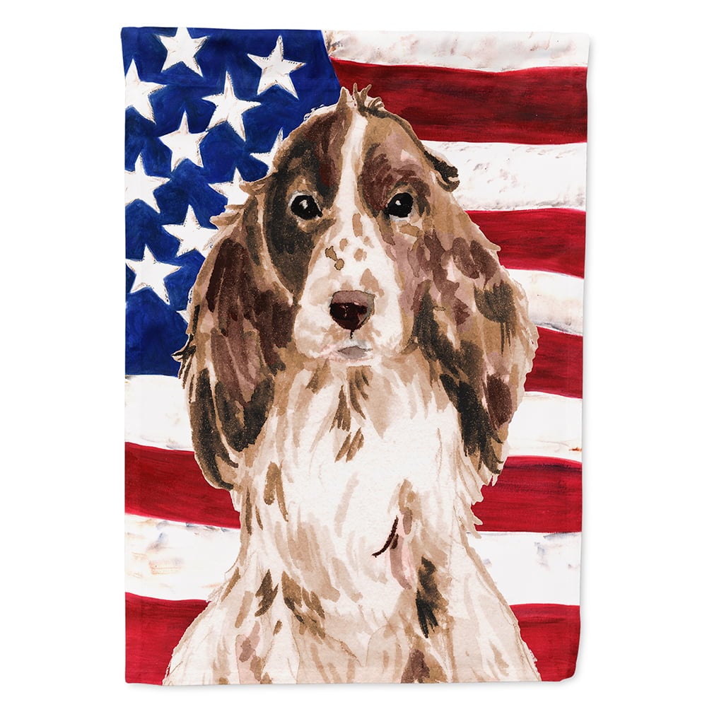Brown Parti Patriotic Flag Canvas House Size