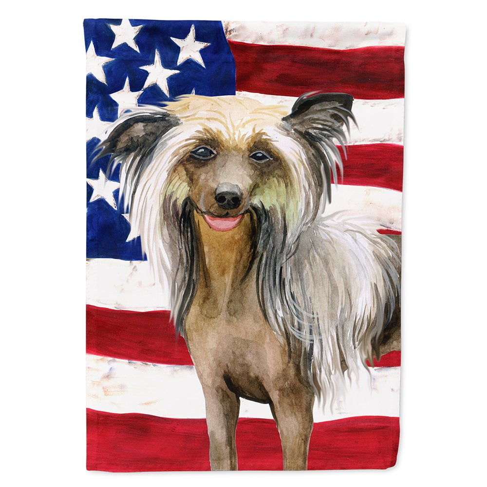 Chinese Crested Patriotic Flag Canvas House Size