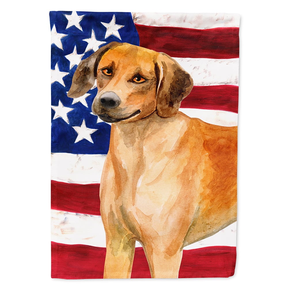 BB9676CHF Rhodesian Ridgeback Patriotic Flag Canvas House Size
