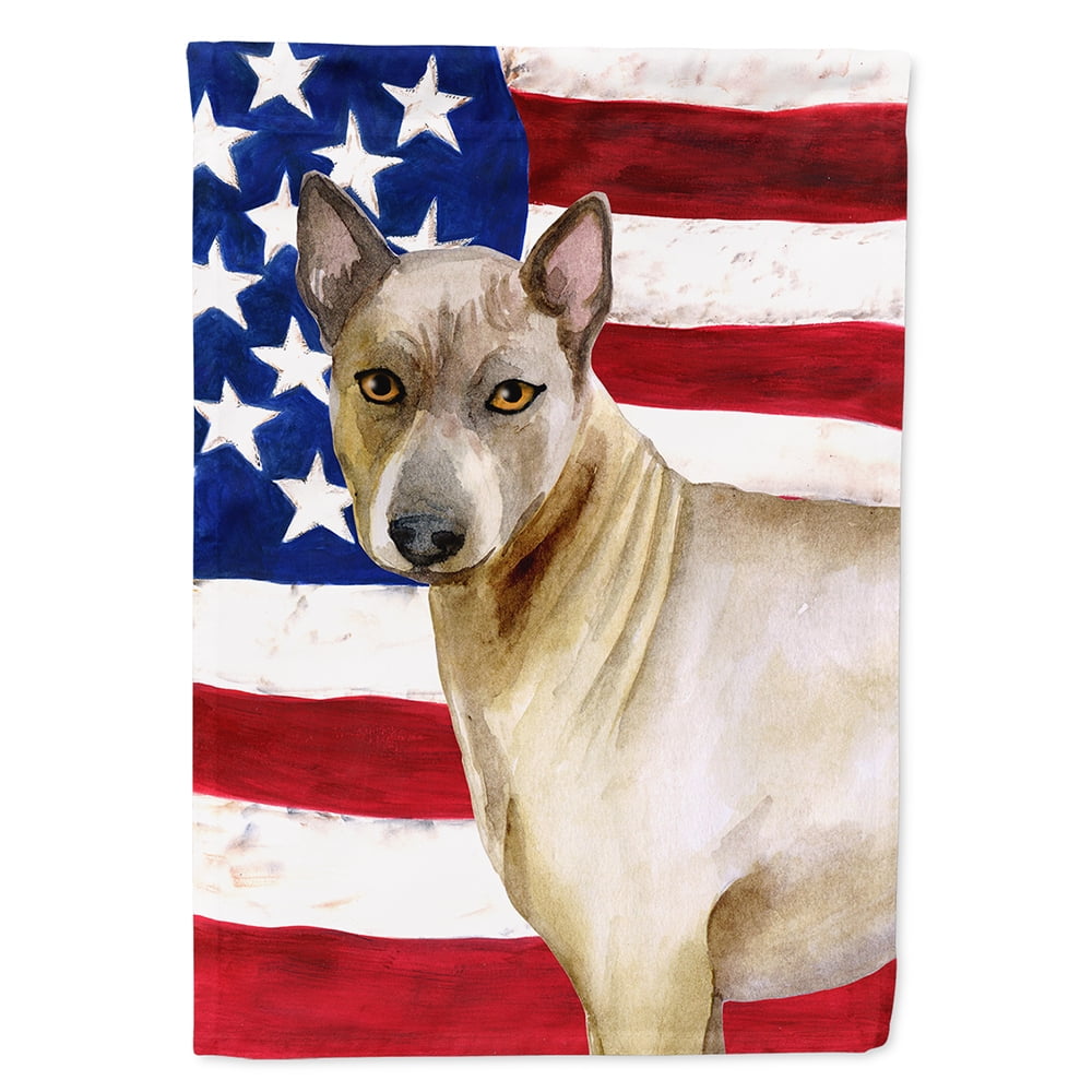 Thai Ridgeback Patriotic Flag Canvas House Size