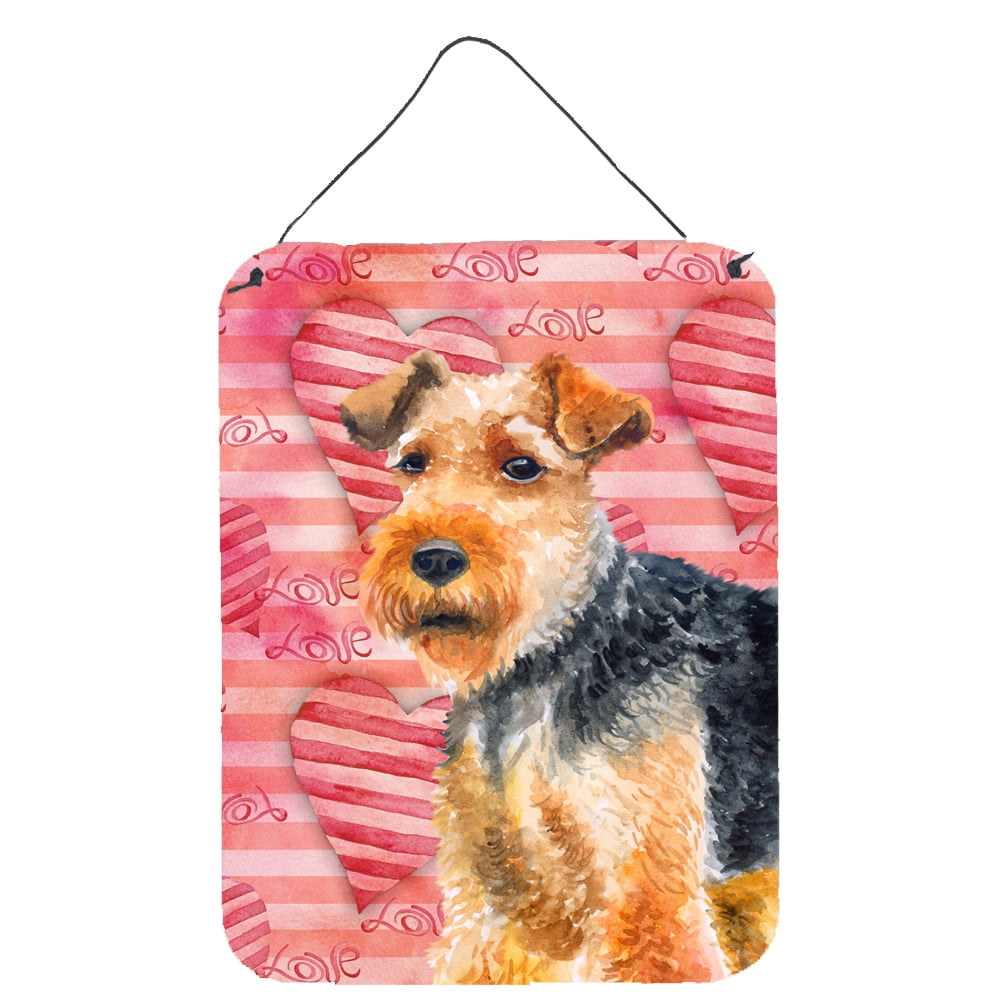 BB9787DS1216 Welsh Terrier Love Wall or Door Hanging Prints