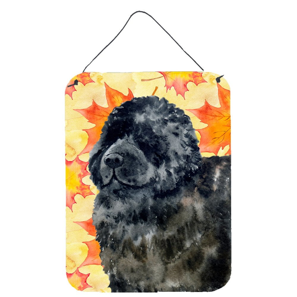 Newfoundland Fall Wall or Door Hanging Prints