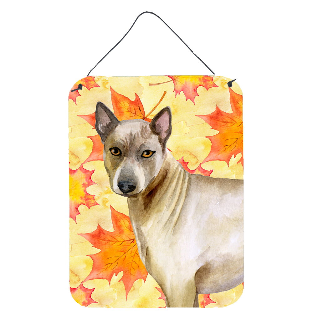BB9941DS1216 Thai Ridgeback Fall Wall or Door Hanging Prints