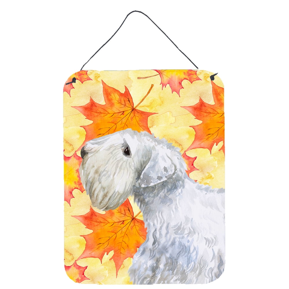 Sealyham Terrier Fall Wall or Door Hanging Prints