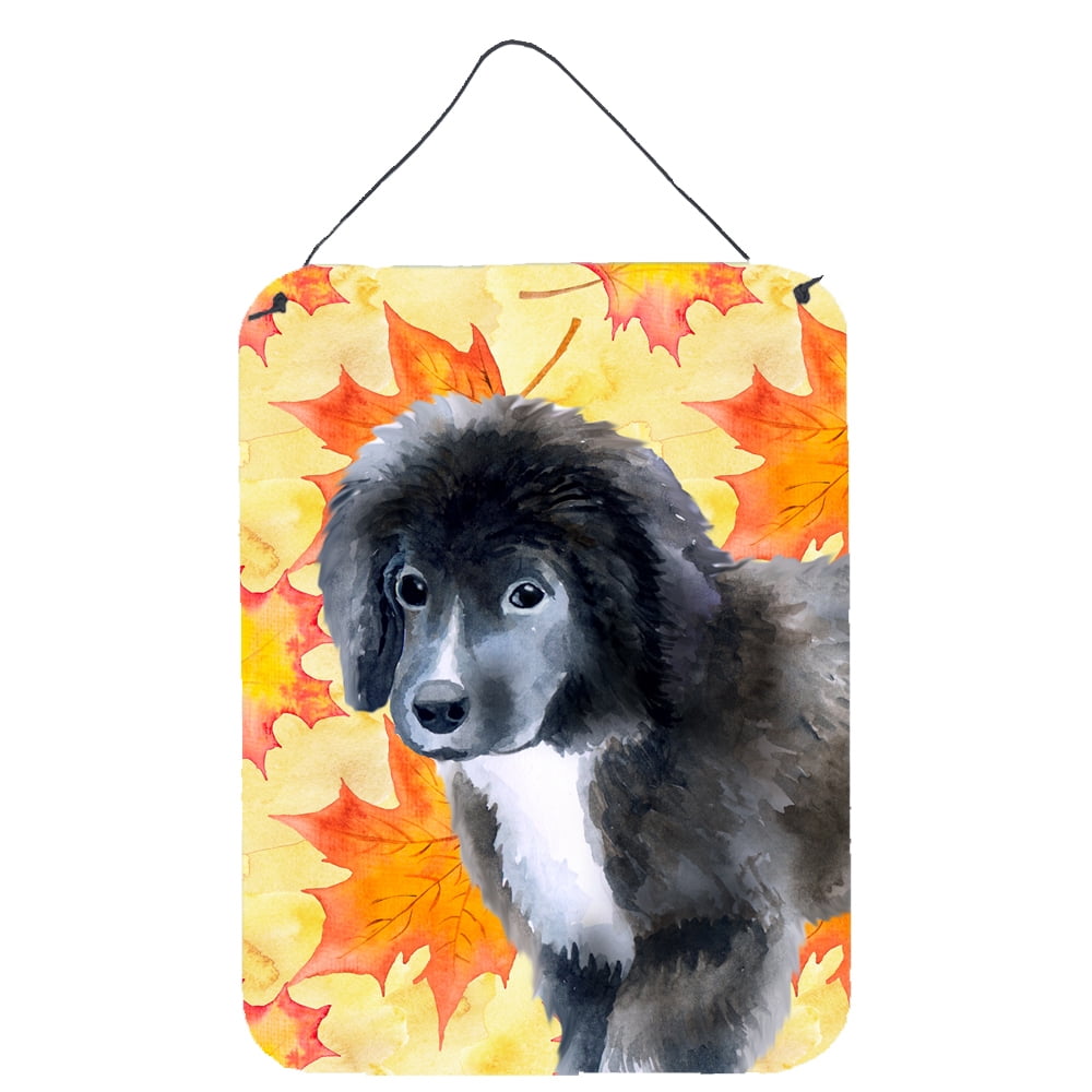 Newfoundland Puppy Fall Wall or Door Hanging Prints