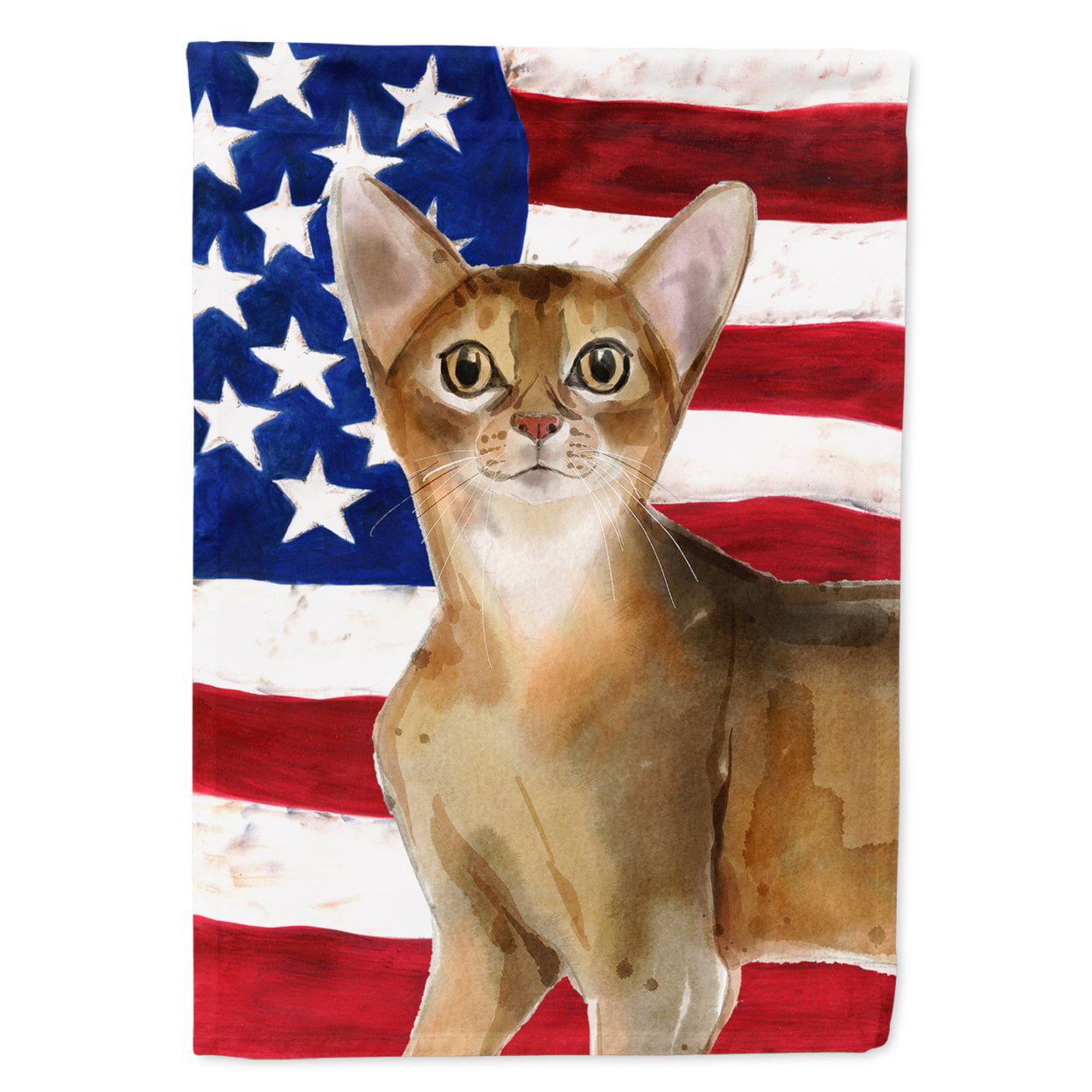 Abyssinian American Flag Flag Canvas House Size