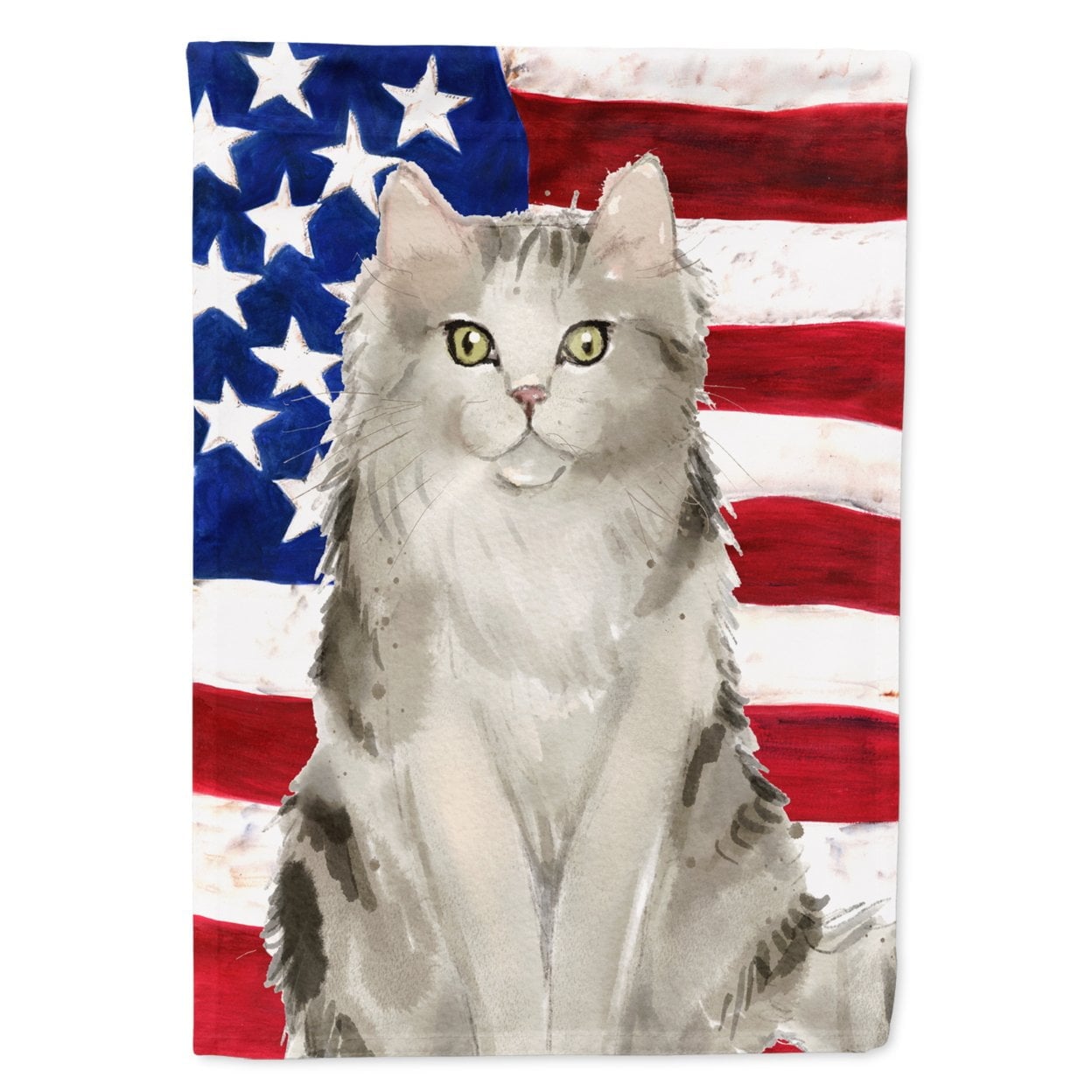 Ragamuffin American Flag Flag Canvas House Size