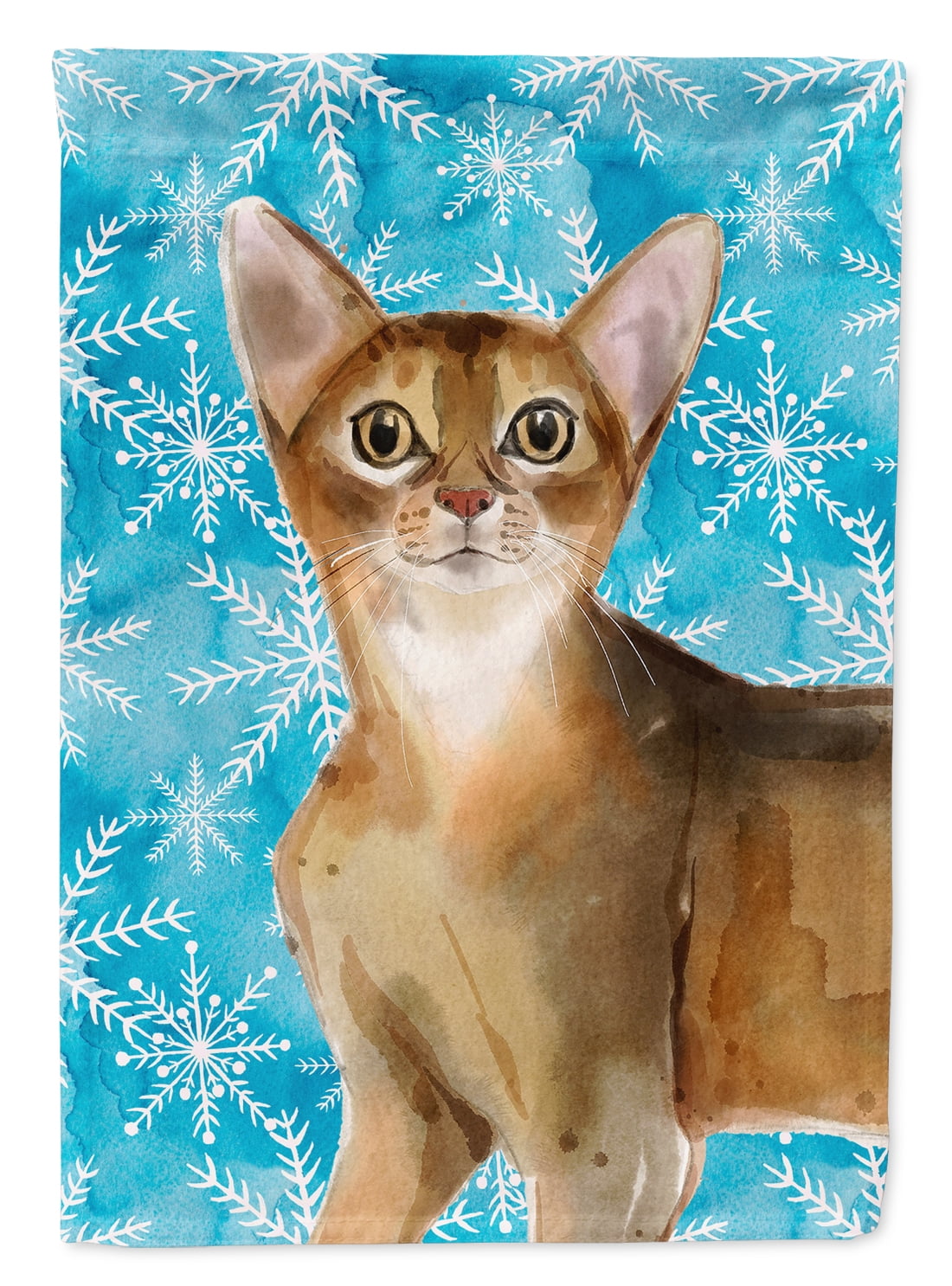 Abyssinian Winter Snowflake Flag Canvas House Size