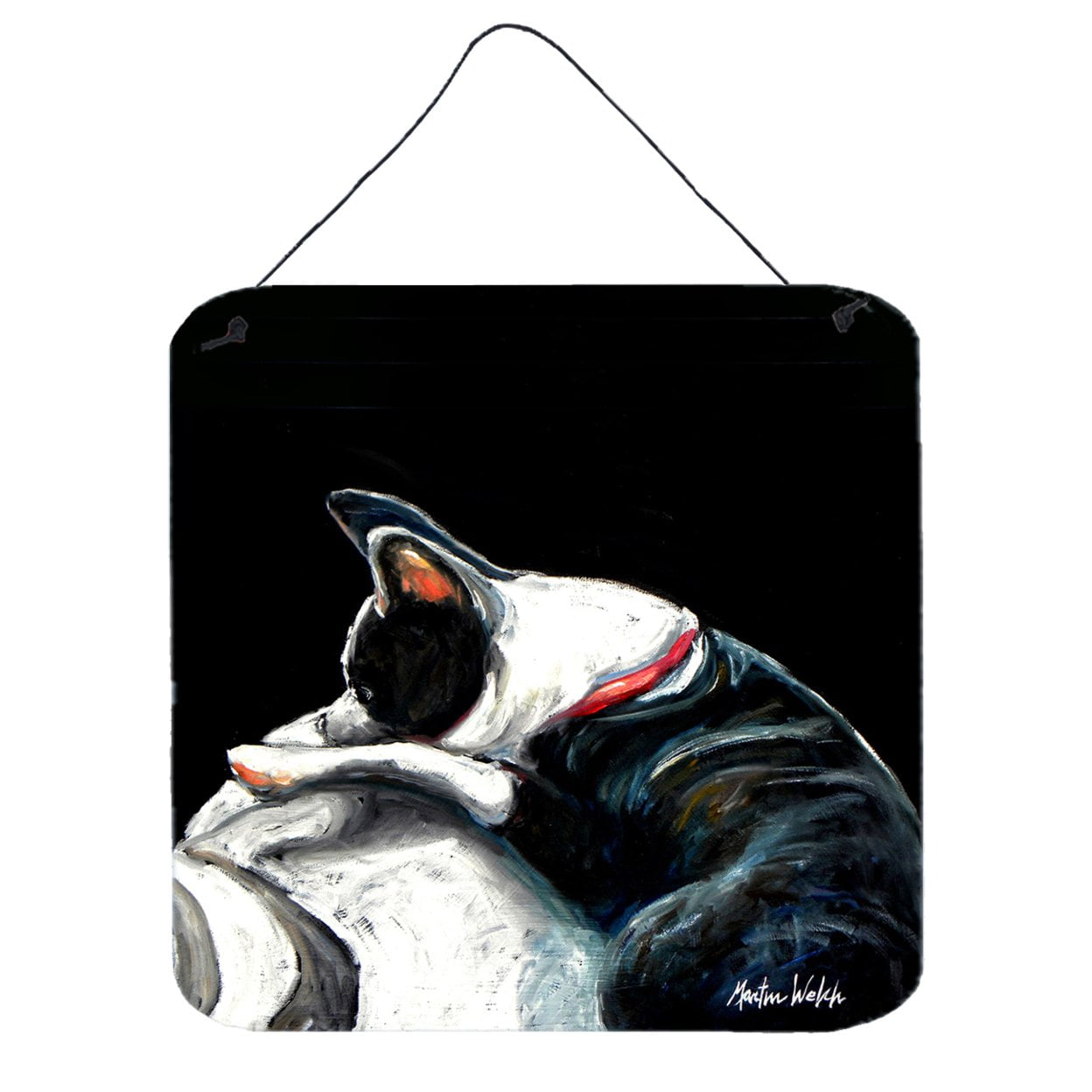 Boston Terrier Spot in the Sun Wall or Door Hanging Prints