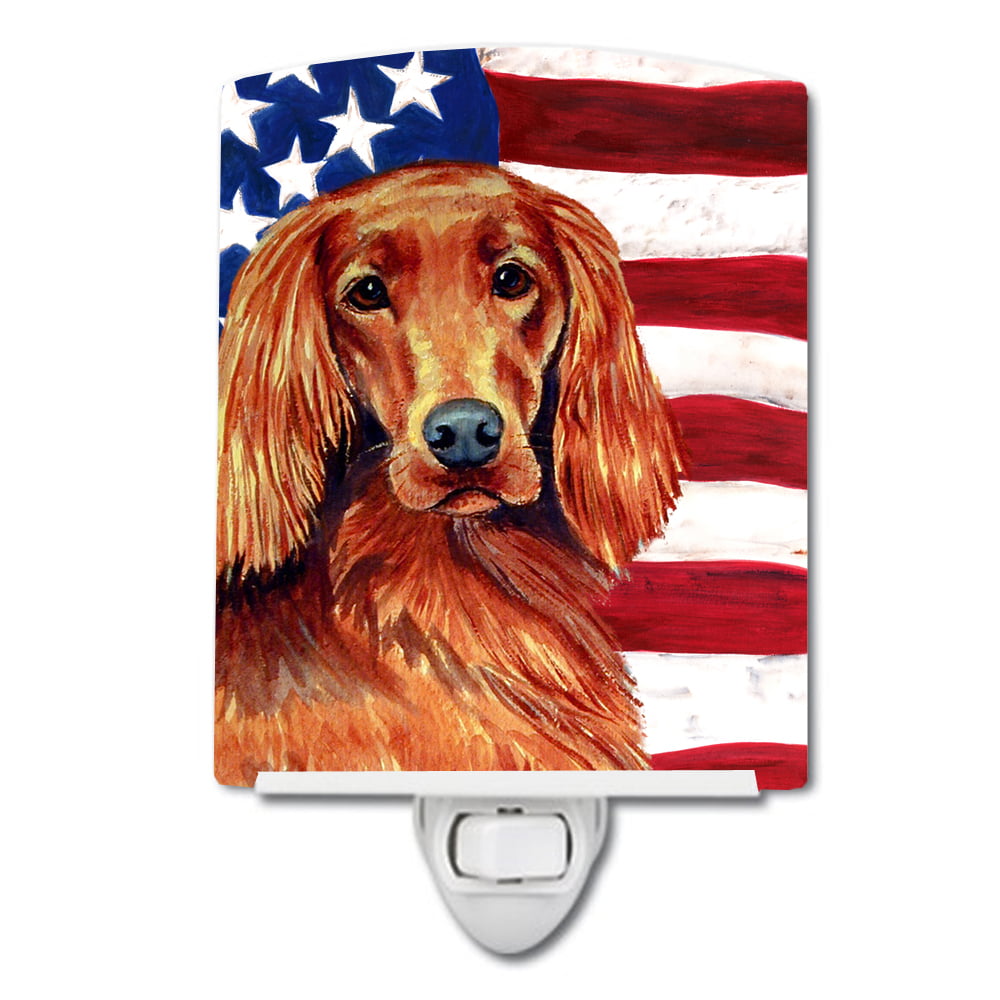 USA American Flag with Irish Setter Ceramic Night Light