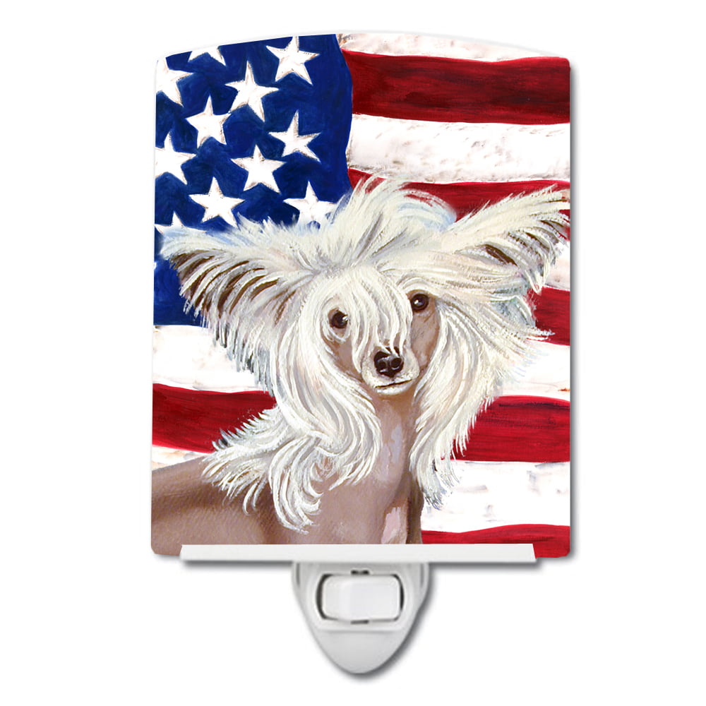 USA American Flag with Chinese Crested Ceramic Night Light