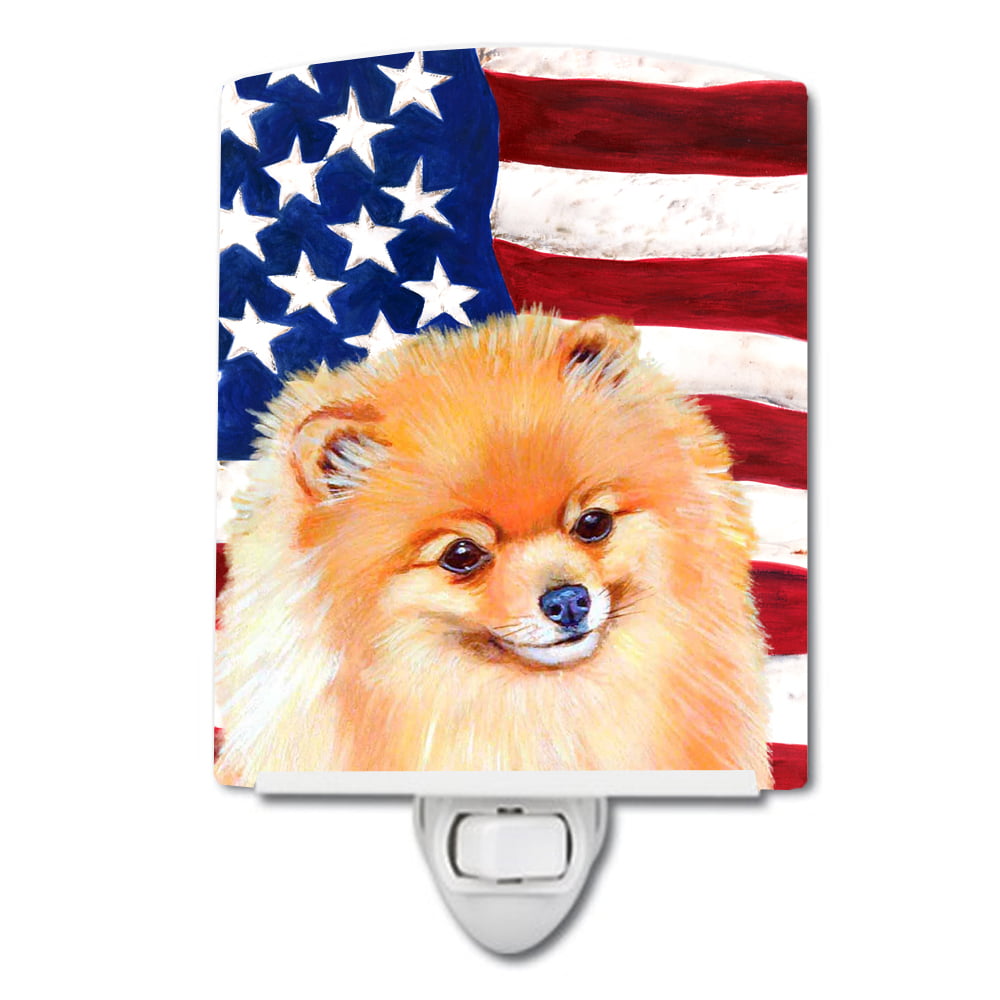 USA American Flag with Pomeranian Ceramic Night Light