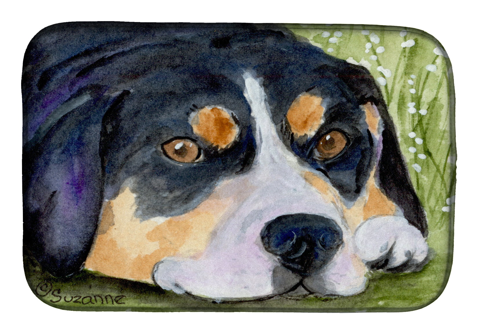 Picture of Carolines Treasures SS8596DDM Entlebucher Mountain Dog Dish Drying Mat