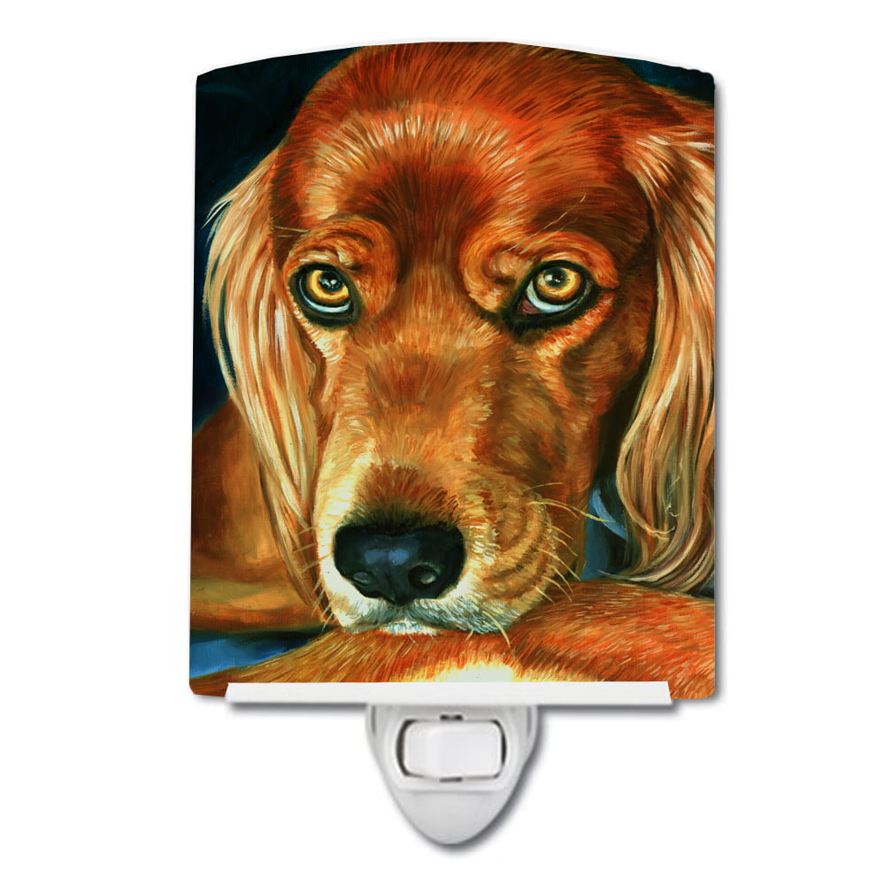 7315CNL Irish Setter Serious Ceramic Night Light