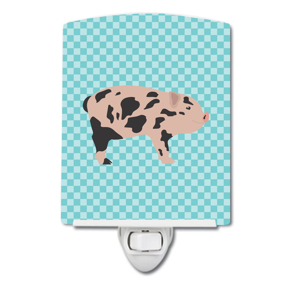 BB8109CNL Mini Miniature Pig Blue Check Ceramic Night Light