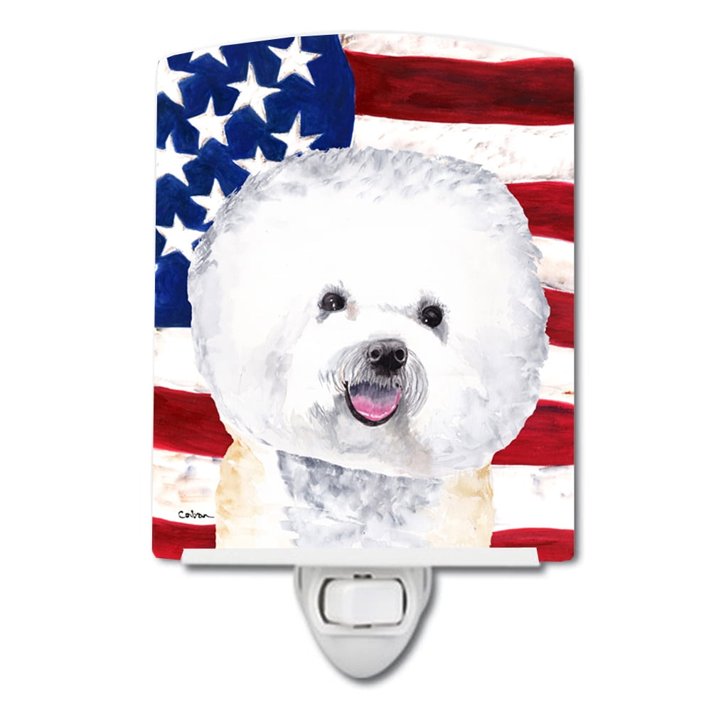 USA American Flag with Bichon Frise Ceramic Night Light
