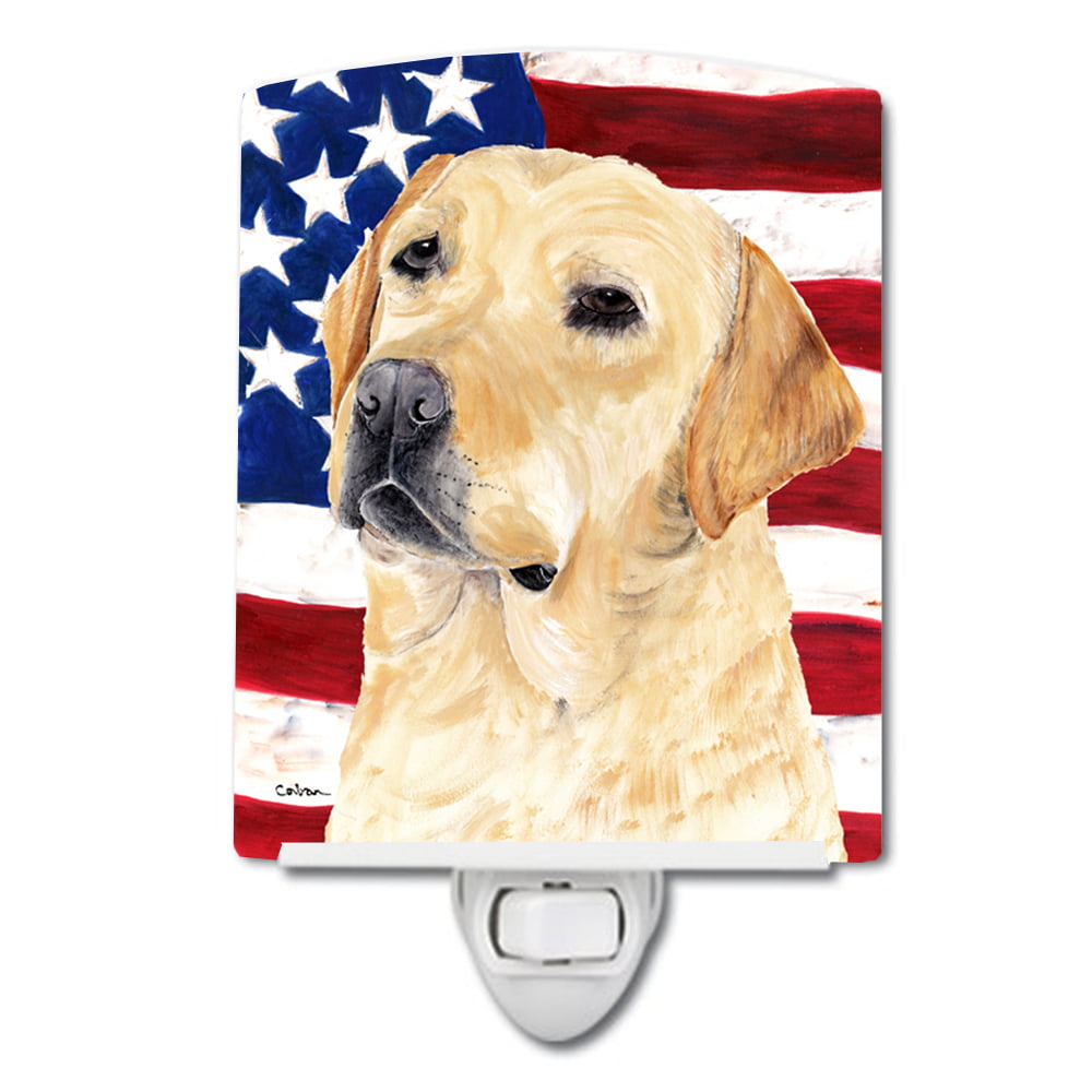 USA American Flag with Labrador Ceramic Night Light