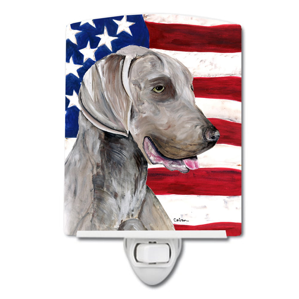 USA American Flag with Weimaraner Ceramic Night Light