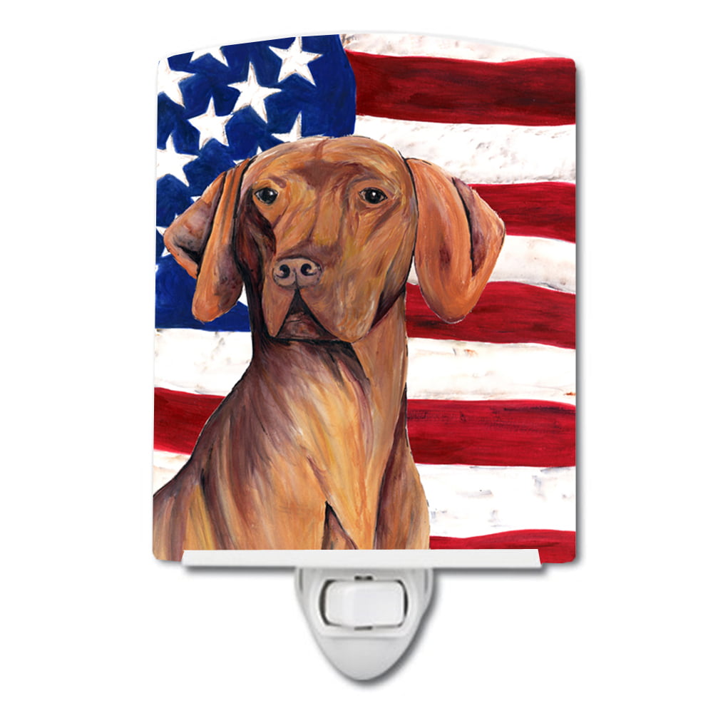 USA American Flag with Vizsla Ceramic Night Light