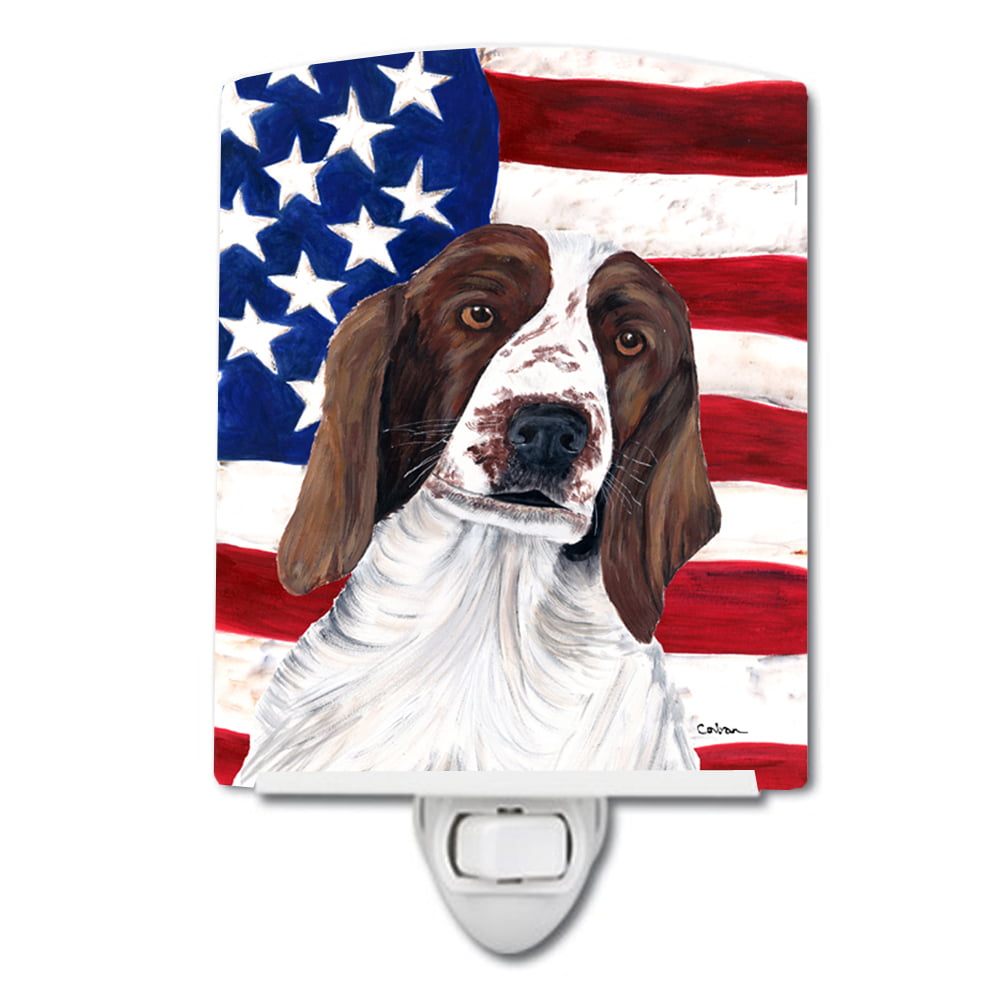 USA American Flag with Welsh Springer Spaniel Ceramic Night Light