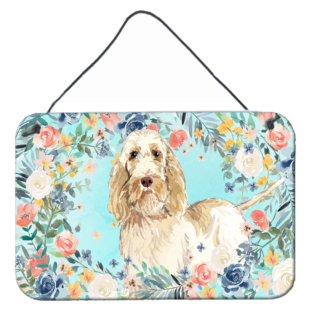 Spinone Italiano Wall or Door Hanging Prints