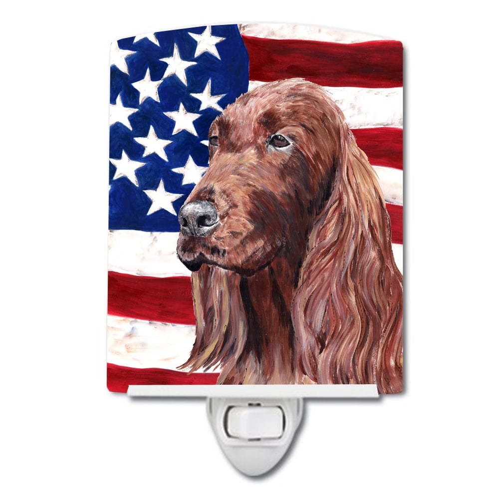 Irish Setter with American Flag Ceramic Night Light