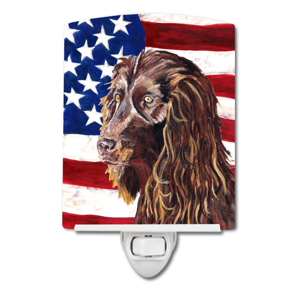 SC9518CNL Boykin Spaniel with American Flag Ceramic Night Light