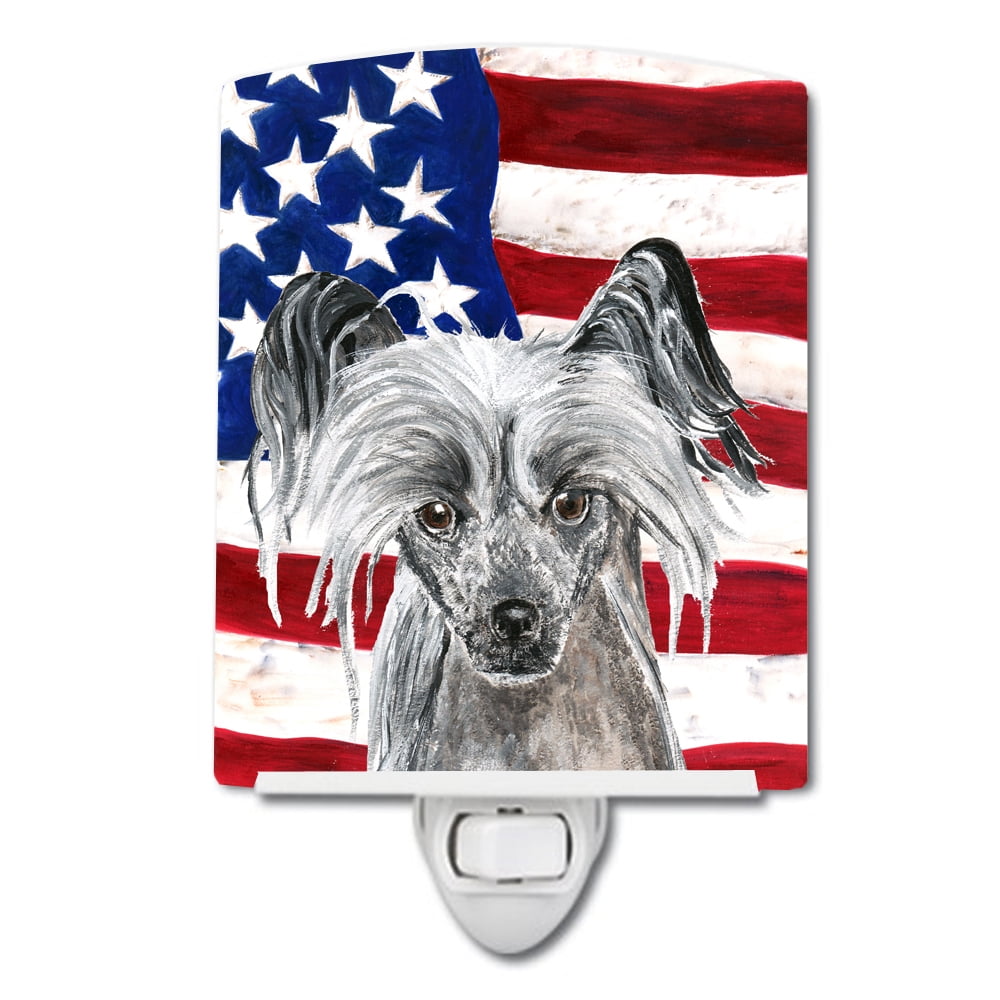 Chinese Crested with American Flag Ceramic Night Light