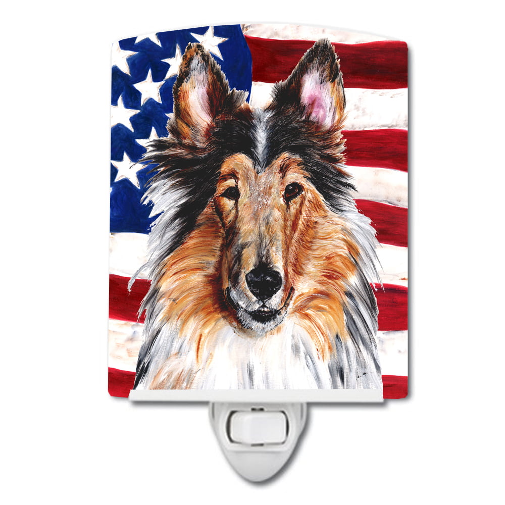Collie with American Flag USA Ceramic Night Light
