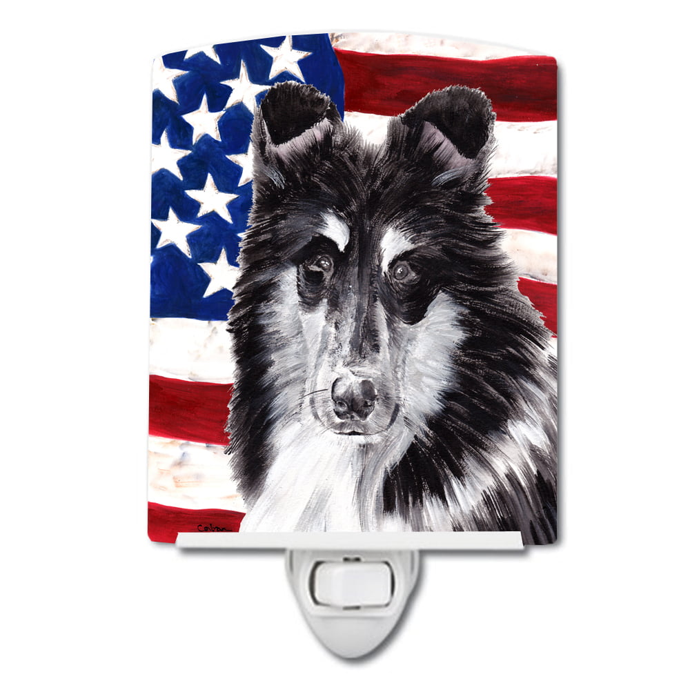 Black & White Collie with American Flag USA Ceramic Night Light