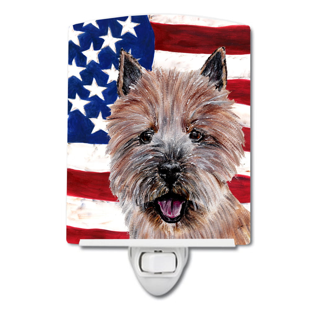 Norwich Terrier with American Flag USA Ceramic Night Light