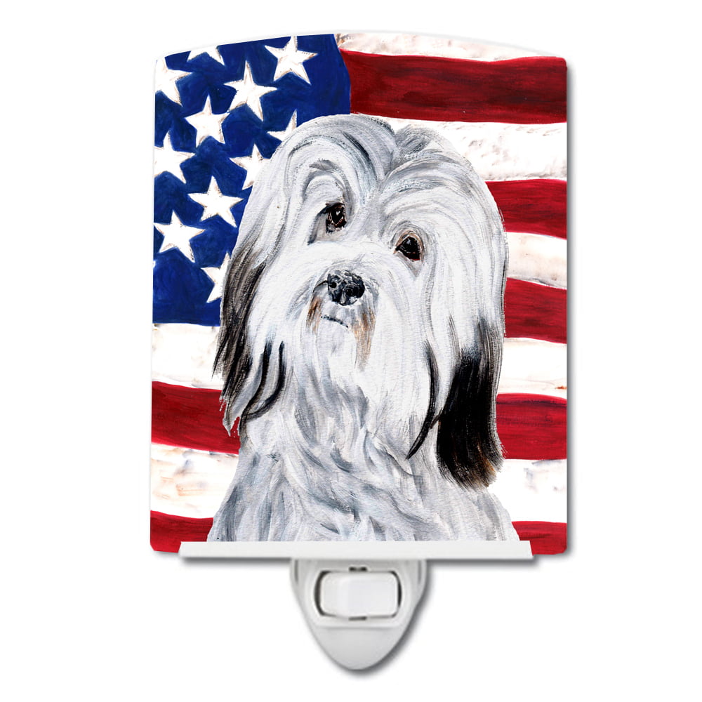 Havanese with American Flag USA Ceramic Night Light