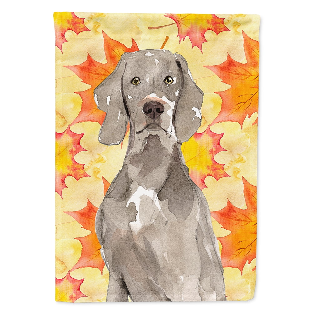 Fall Leaves Weimaraner Flag Canvas House Size