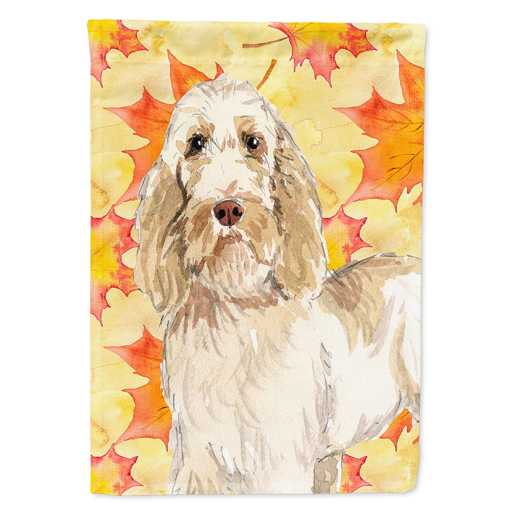 Fall Leaves Spinone Italiano Flag Canvas House Size