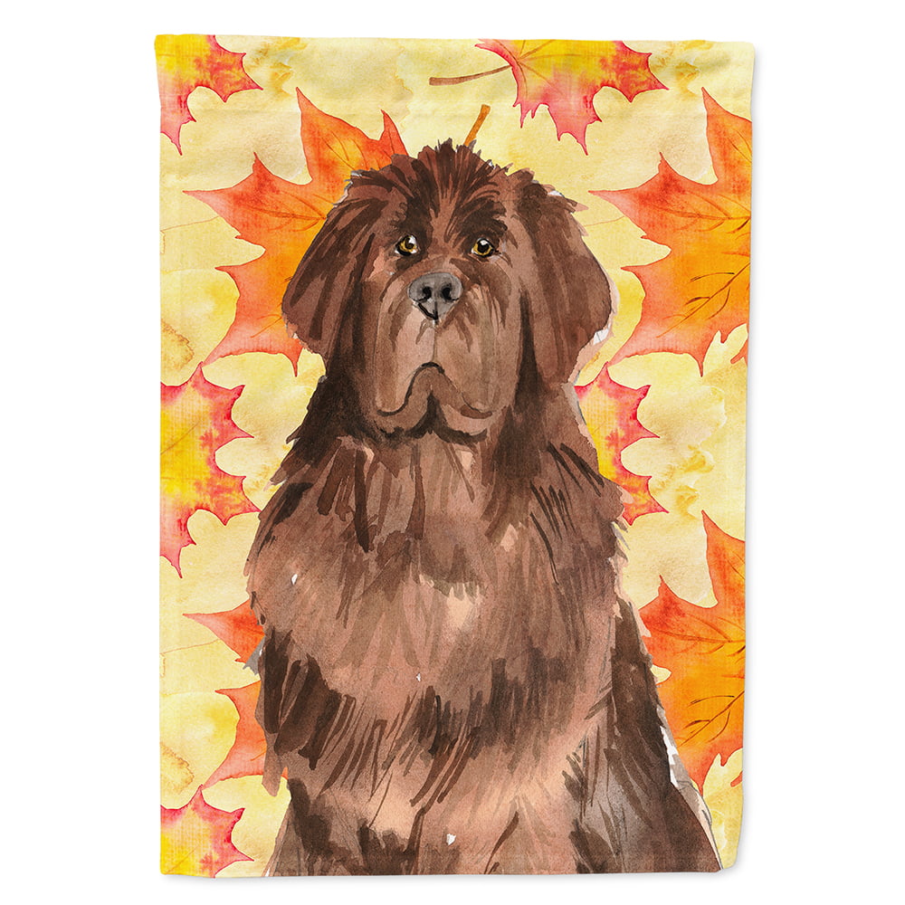 Fall Leaves Newfoundland Flag Canvas House Size