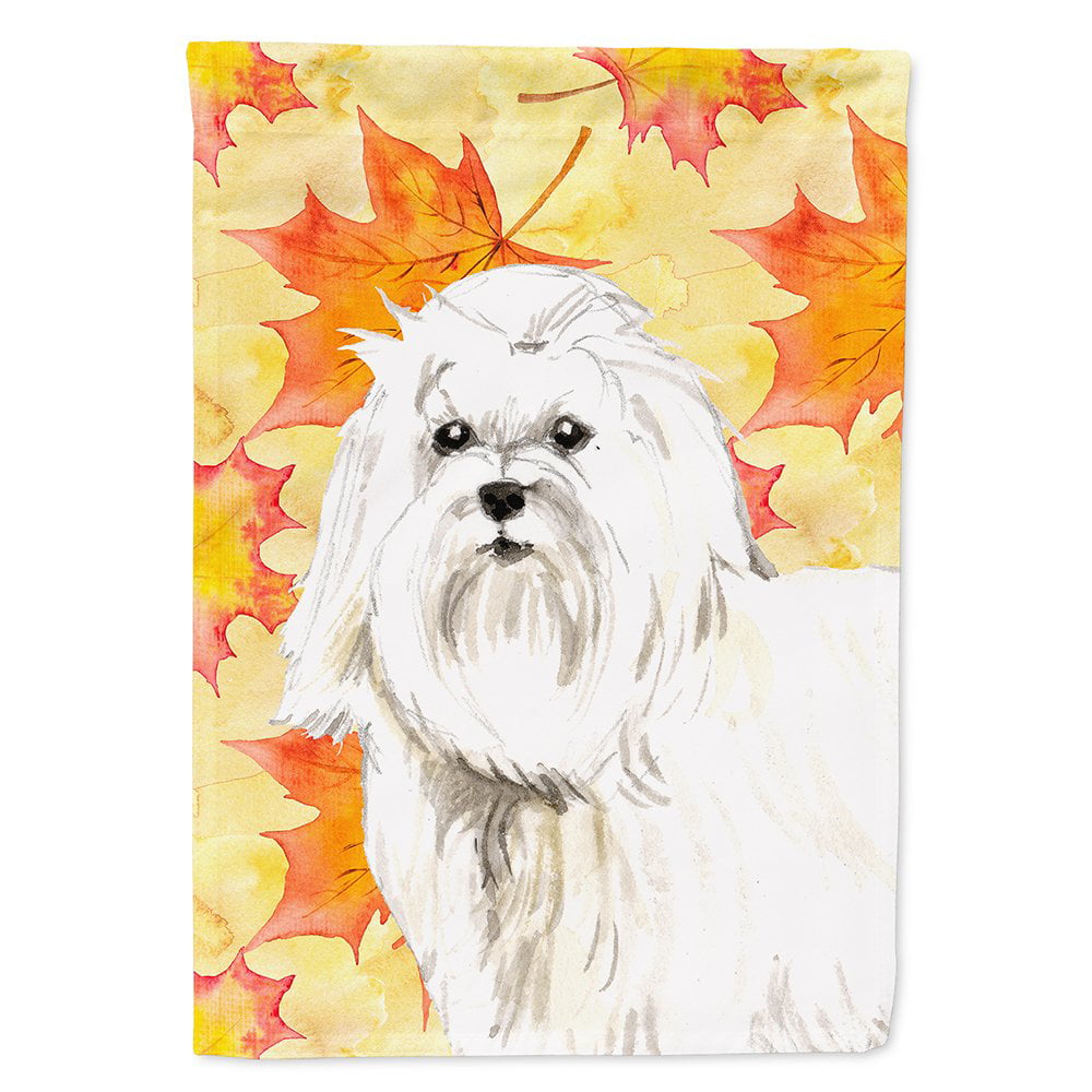 Fall Leaves Maltese Flag Canvas House Size