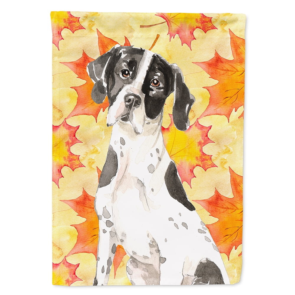 CK1843CHF Fall Leaves English Pointer Flag Canvas House Size