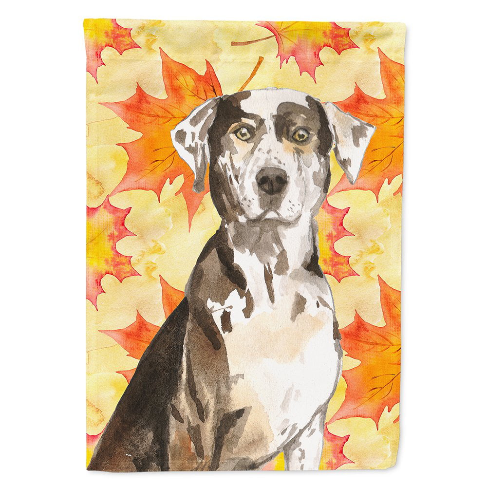 Fall Leaves Catahoula Leopard Dog Flag Canvas House Size