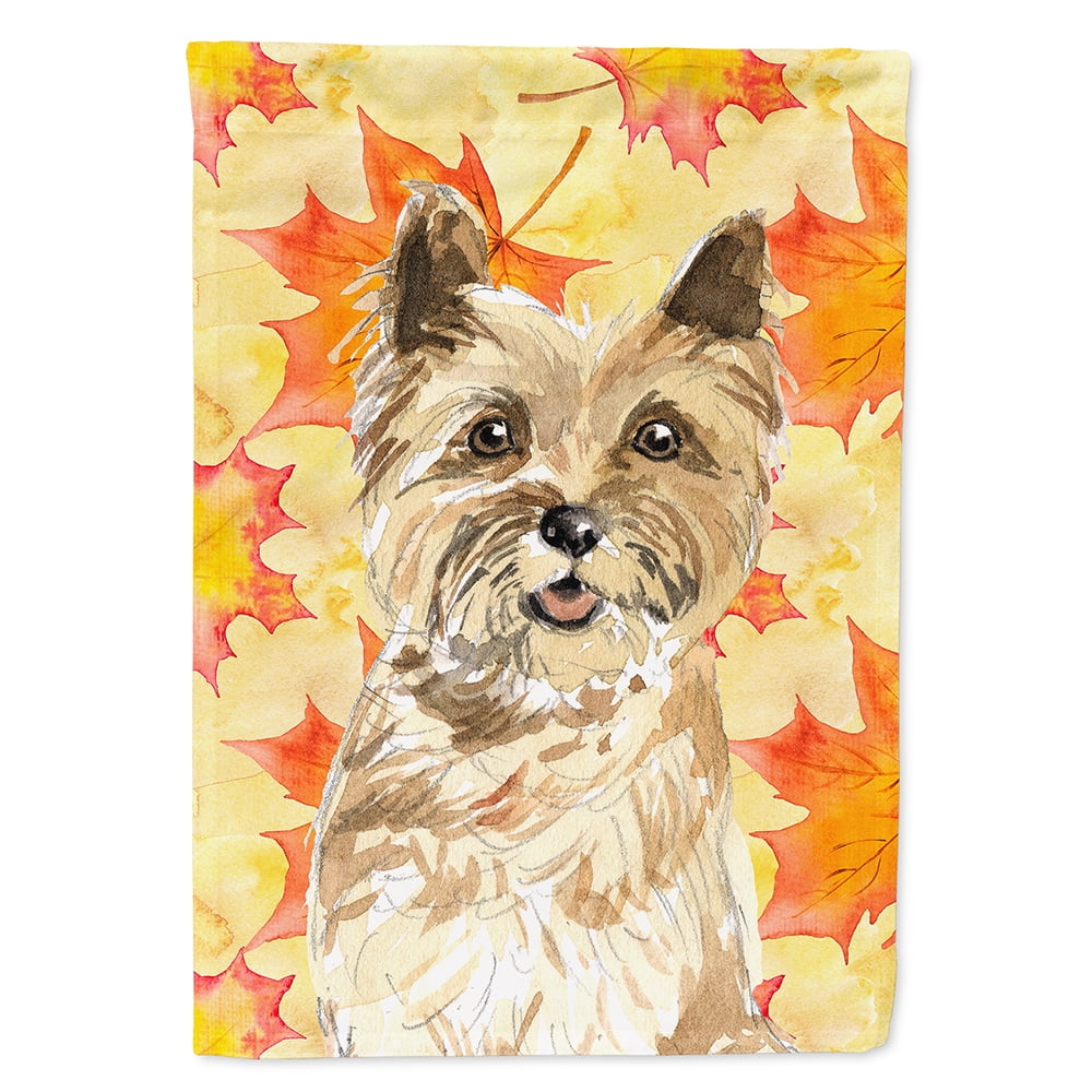 Fall Leaves Cairn Terrier Flag Canvas House Size