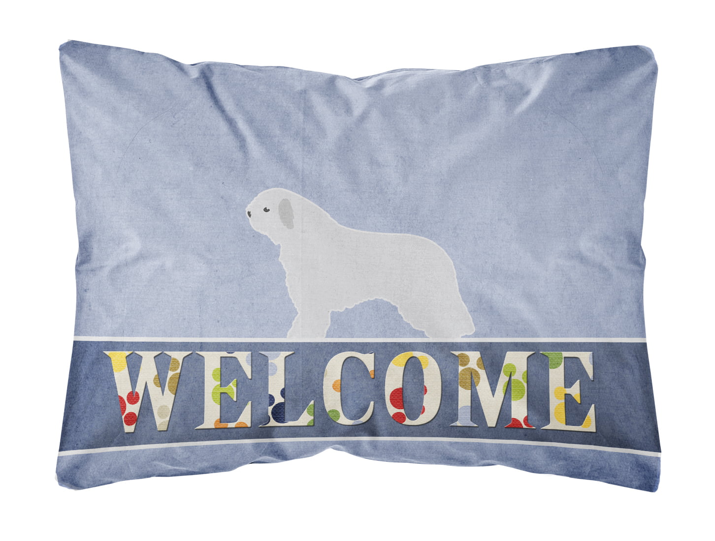 Spanish Water Dog Welcome Canvas Fabric Decorative Pillow
