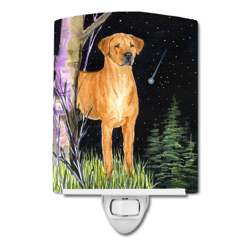 SS8479CNL Starry Night Rhodesian Ridgeback Ceramic Night Light