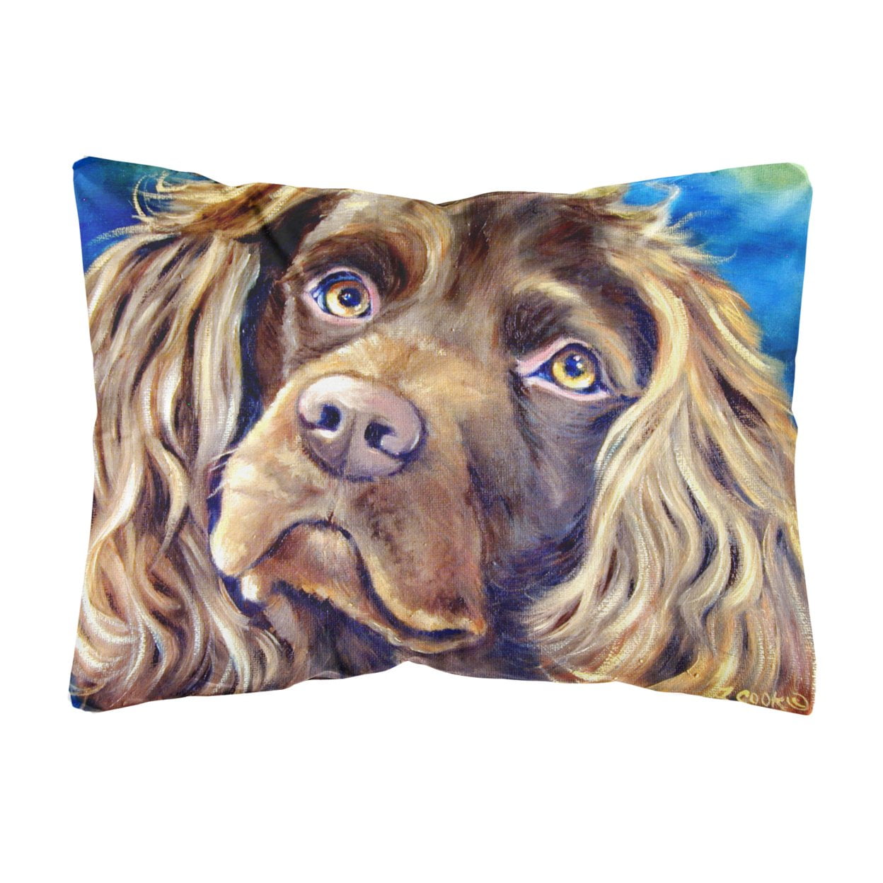 Boykin Spaniel Fabric Decorative Pillow