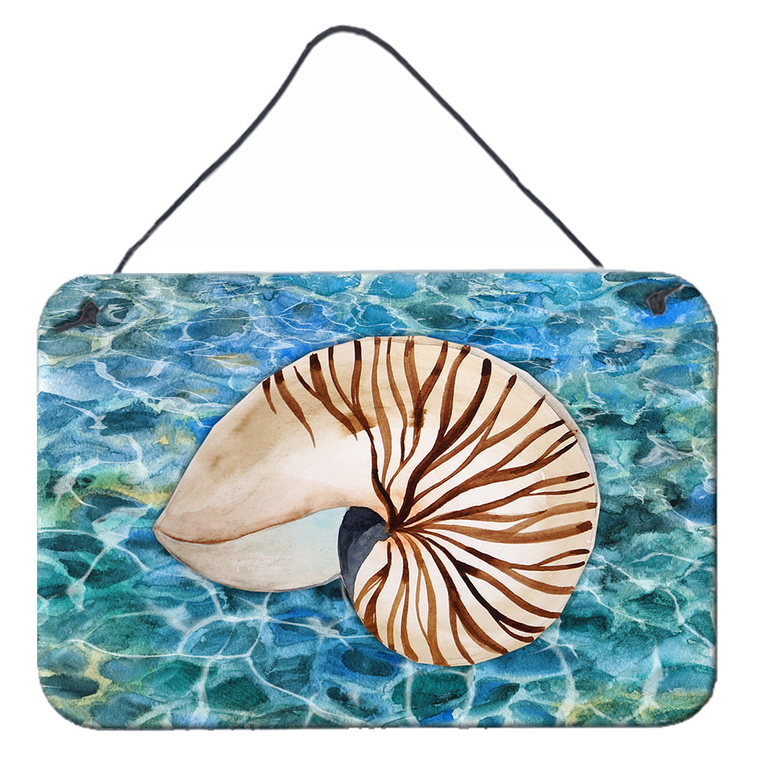 Sea Shell & Water Wall or Door Hanging Prints
